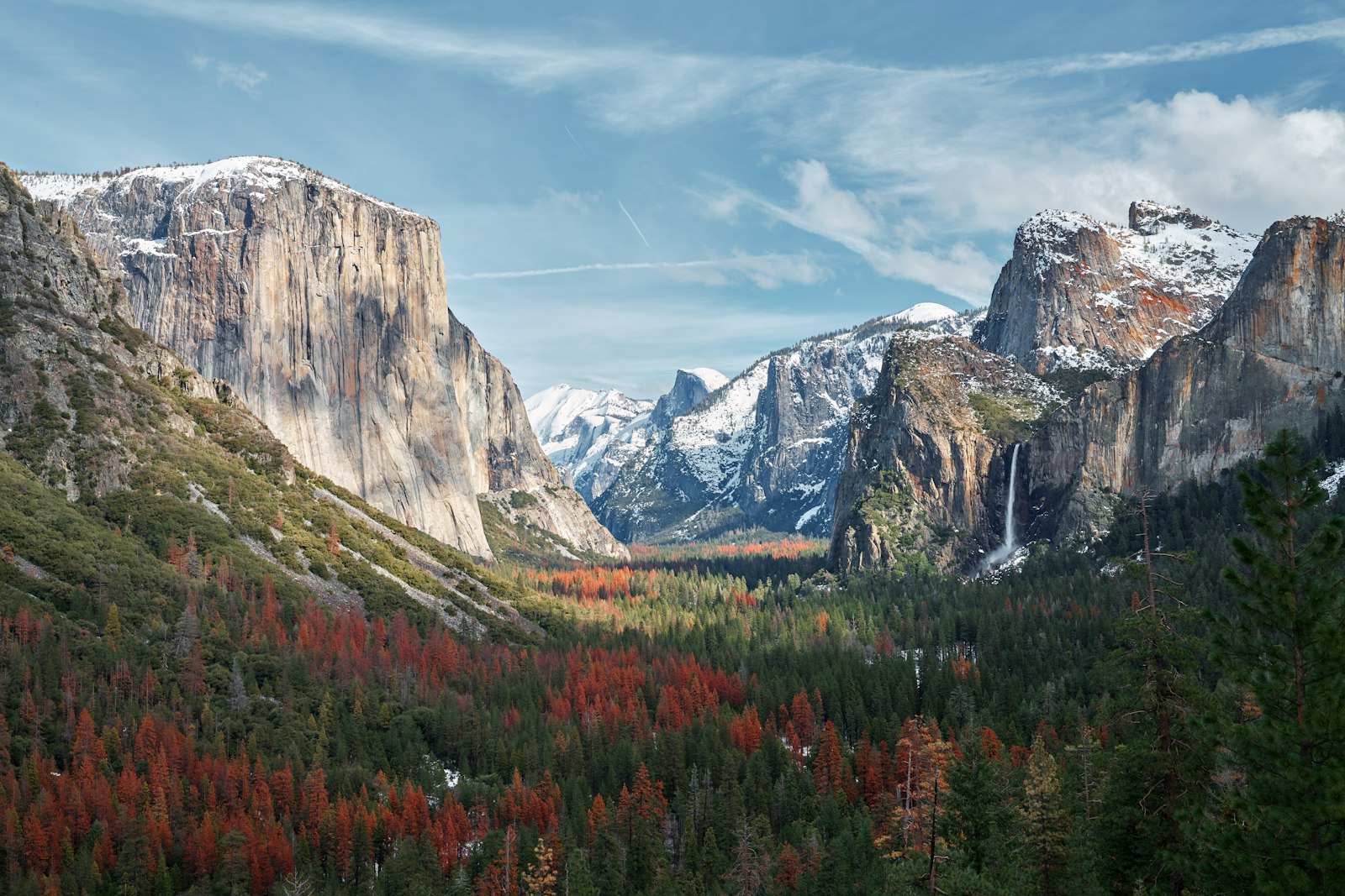 Forest mountain
