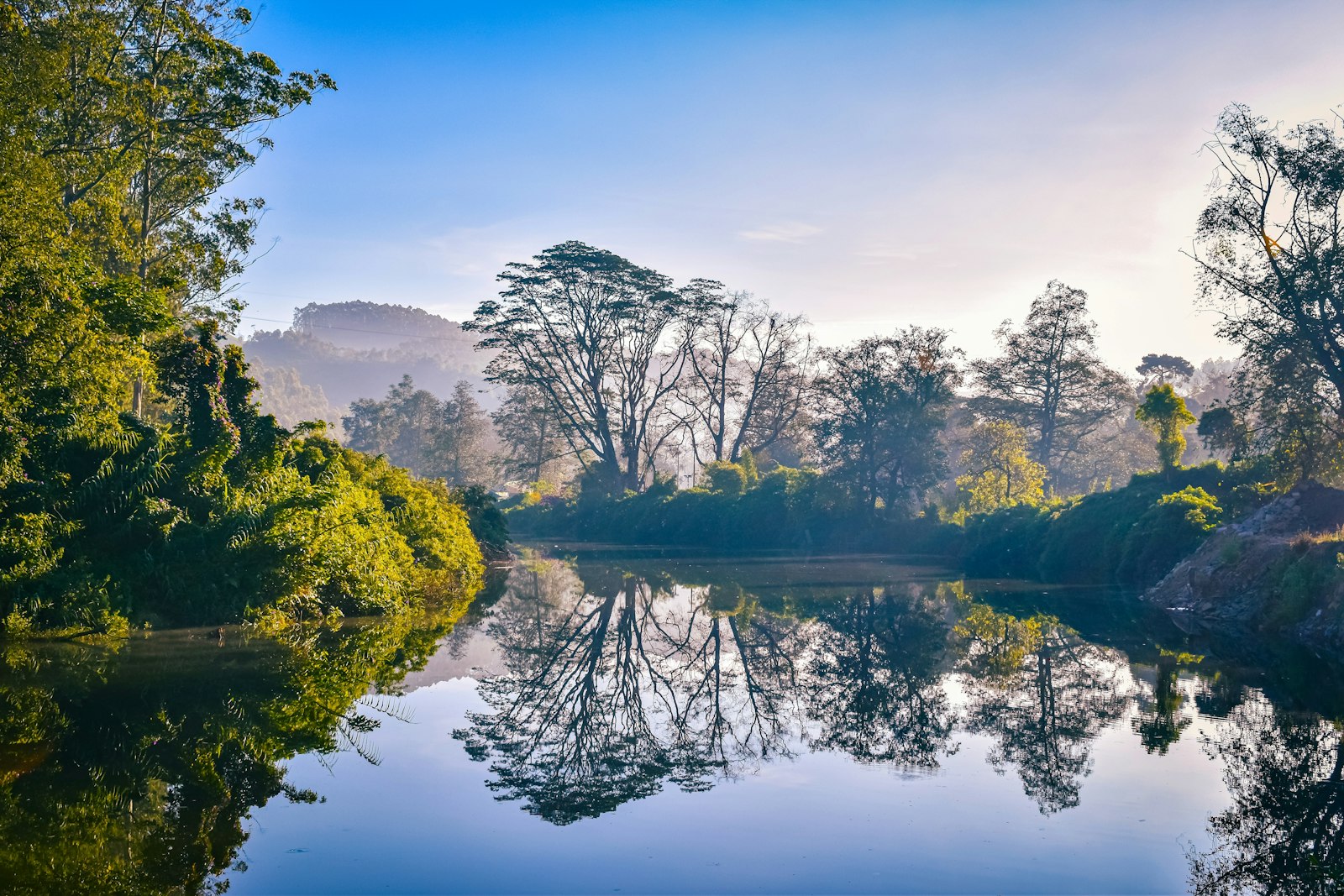River and trees